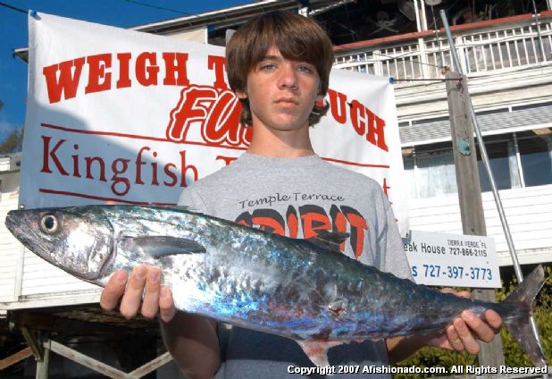 a person holding a large fish