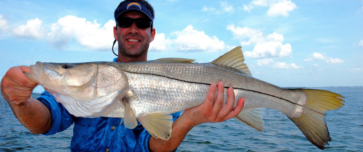 Snook - St. Petersburg & Tampa Bay Fishing Charters with Captain Wade Osborne