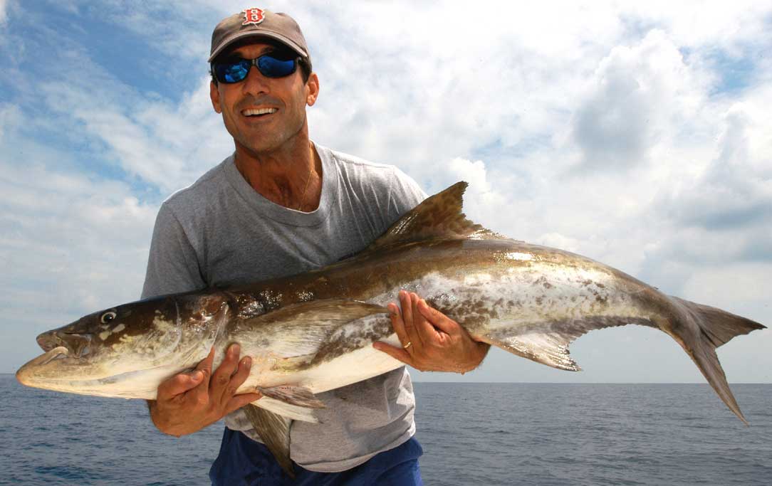 #TampaBayCobia