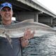#BridgeCobia