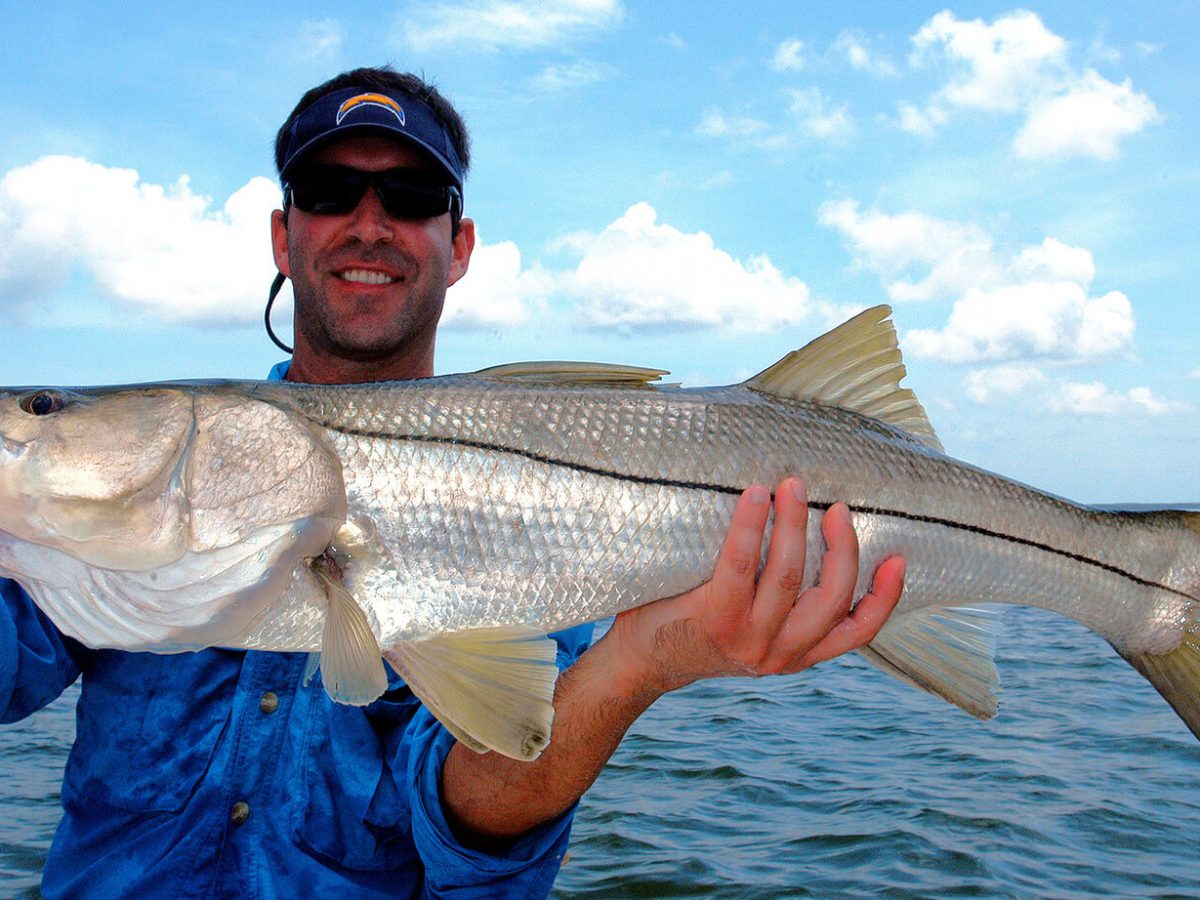 Snook Dock Light Fishing - St. Petersburg Fishing Charters