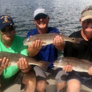 Redfish Charter Fishing Tampa