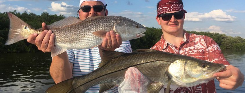 Redfish and Snook Fishing in Tampa Bay