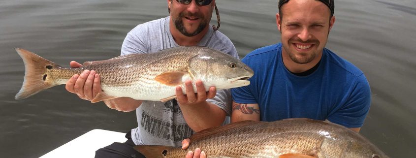 Catching Redfish in Tampa Bay